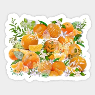 Tangerine Dreams Sticker